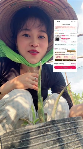 Túi Xách Giá Rẻ Phối Đồ Đa Dạng
