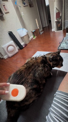 Miss Butterscotch on TikTok