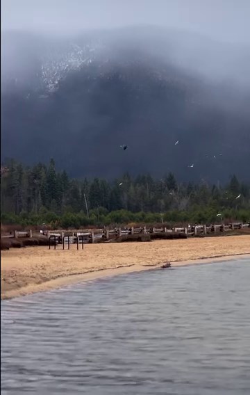 Wait for it…🦅 The birds are delighted by the fresh snowy mountain peaks. As are we. How will you #KeepTahoeBlue this winter? | Keep Tahoe Blue