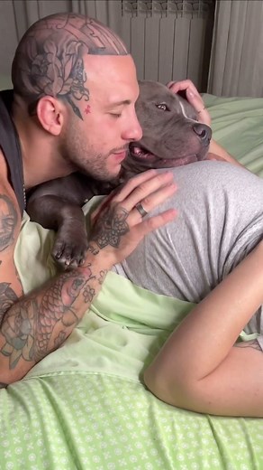 210K views · 1.9K reactions | BullyBillows on Reels | Facebook