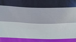 Close up of the asexual pride flag gently waving - Free Stock Video