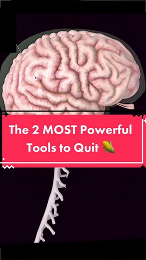 Discover the Most Powerful Tools to Quit Porn & Transform Your Life!