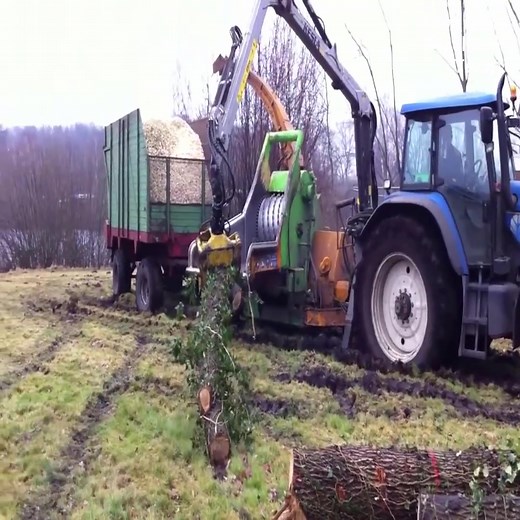 1.7K views · 18 reactions | Powerful Tree Crusher 60T | Advanced Machine Tech | Facebook