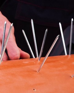 Handy DIY Lawn Aerator! | Earth Wonders