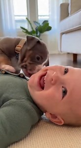 2.8K views · 68 reactions | Eat together on Reels | Facebook