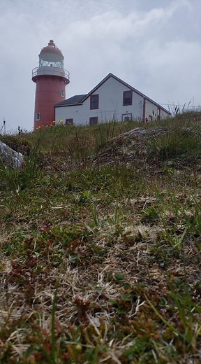 1.8K views · 63 reactions | Experience Unforgettable views at Ferryland Lighthouse. Newfoundland Must Visit Landmark. #explorenl #Ferryland #newfoundland #iceberg #icebergs #whales | Visit Newfoundland and Labrador | Facebook