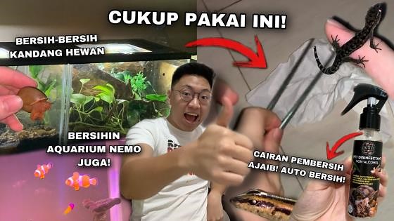 Hewan Peliharaan Sehat dan Terhindar dari Penyakit dengan Kebersihan Kandang!