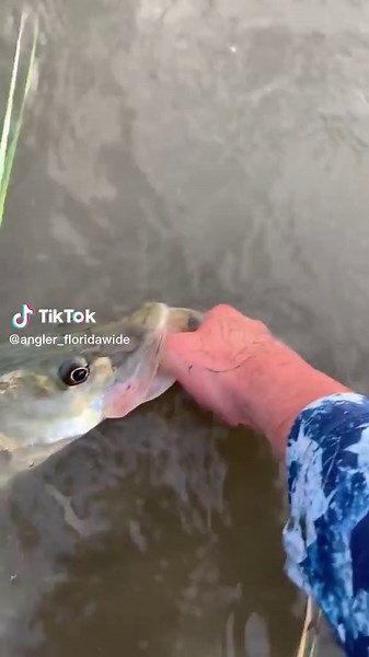 Angler_FloridaWide on TikTok
