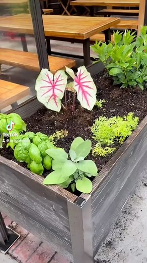 Sprucing up our planters in our patio! #spring #summer #gardenseason #queencity #unionandfinch | Union and Finch | Facebook