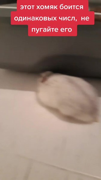 мемчики sur TikTok