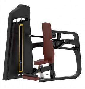 [Hot Item] Commercial Equipment Tricep DIP Machine 1012 Gym Machine