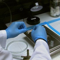 Video: Retroductal Submandibular Gland Instillation and Localized Fractionated Irradiation in a Rat Model of Salivary Hypofunction