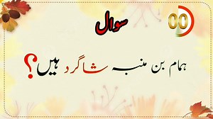 general knowledge questions and answers |urdu general knowledge sawal jawab.. | Y General knowledge