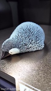 624K views · 3.7K reactions | 3D Printed Fluffy Penguin! source: sulena3ddesign Filament @amolen3d PLA Glow Rainbow and PLA Basic #3dprinting #3dprint #3dprinted #amolen #satisfying #fidgettoys | Amolen3d | Facebook