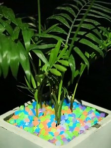 500pc Glow in The Dark Garden Pebbles Glowing Fish Tank Pebbles Glow Stones for Fish Tank Driveway Yard Gras(Color)