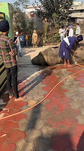 Elephant bath time | 7Dogs