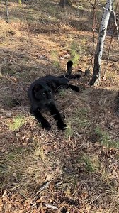 59K views · 3.8K reactions | What a beautiful weather today ❤ | Lunathepantera | Facebook