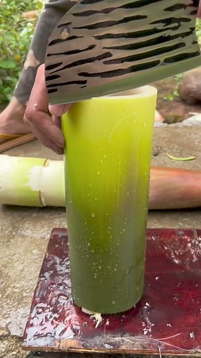 Shred Fresh Bamboo Shoot By Hand #farming #amazing #bamboo #viral #fruit #wildlife #farmlife | Unzip Farm