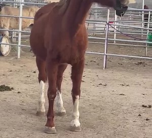 2.4K views · 199 reactions | You are never too old to play! Stormy...