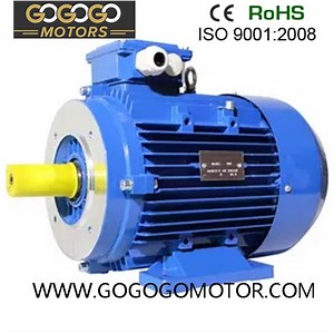 [Hot Item] Tops Y2 Three Phase Induction Servo 50kw Motor From Molly