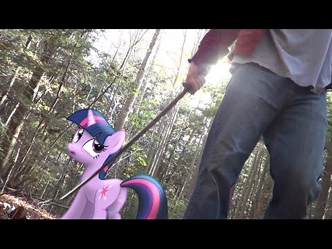 MLP Car Decals pt2 (IRL Short)