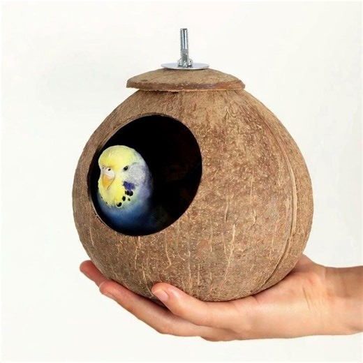 Natural Coconut Shell, Bird Nest Hut, Hanging Hideaway for Small Birds - Etsy