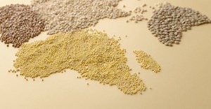 Video by Monstera Production on Pexels