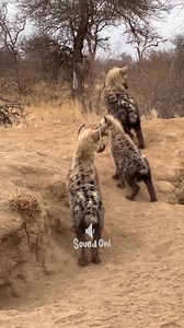 10K views · 143 reactions | 領 Caught on mic: an impossibly cute...