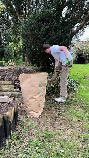 Bambus entfernen im Garten: Schritt für Schritt Anleitung