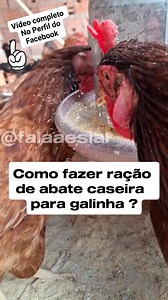 4.1K views · 65 reactions | Como fazer ração para abate de galinha..... #galinha #racao #falaaesial #galinhacaipira | FALA AE SIAL | Facebook
