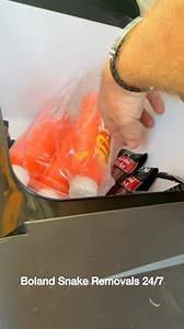 200K views · 2.4K reactions | Kobra in kopkussing 臘‍♂️ Winita van...