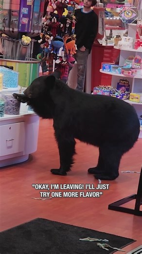 Bear with sweet tooth robs candy store 🍬 | Joyful