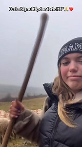 344K views · 13K reactions | Printre dealuri și liniște” | Albinuțe Drăguțe | Facebook