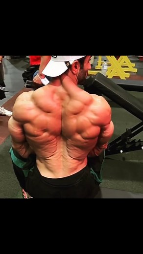 bodybuilding & strength on Instagram: "@vahidbadpei_ifbbpro even sitting down can put on an incredible display and control of his back muscles 💥💪 #backday #vtaper #lats #backmuscles #bigtraps #musclereels #bodybuildingreels #musclemodel #classicphysique #classicphysiquepro #musclegod #bodybuilder #bodybuilding #shredded #shredz #shreddedbeast #instamuscle #reelsinstagram #reelitfeelit #iranianmuscle #iranianbodybuilding #massivemuscle #musclebeast"