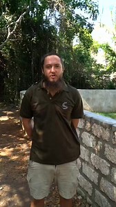 1.5K views · 25 reactions | Most people know that if you are bitten...