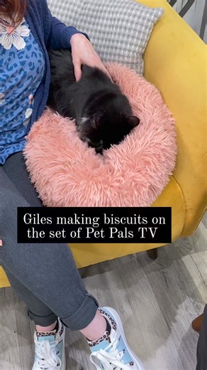 1.3K views · 42 reactions | Giles came with me and Grayson today to...