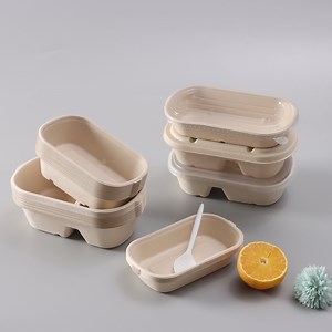 [Hot Item] Disposable Tableware 1000ml Double Cell Food Container Takeaway Disposable Food Packaging