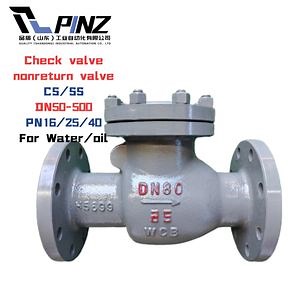 [Hot Item] High-Quality Lift/Flanged/Wafer/Butterfly/Swing/Silent/Cast Iron/Steel/Brass Types Check Valve for Industrial Applications