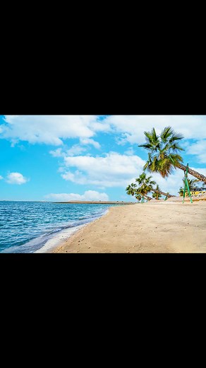 NEW NEW ADULTS ONLY DUBAI  Brand new Dubai offer to share with...