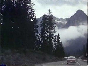 Lifetime Intimate Portrait -6