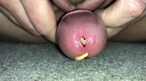 Maggots wriggling out