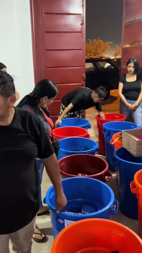 Canasta Navideña de Jorge Luna: Humor y Tendencia