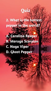 3K views · 79 reactions | Unlock the realms of knowledge with our captivating random quiz. Delve into the world of general knowledge and uncover intriguing trivia in a challenging and engaging manner! #factsfortheday #education #knowledge #facts #quiz #factsdaily #QuizTime | Mindbreaker Mayhem | Facebook