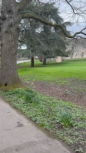 Caldicot Castle is an extensive stone medieval castle in the town of Caldicot, Monmouthshire, in southeast Wales 🏴󠁧󠁢󠁷󠁬󠁳󠁿 Castle entry is 🆓 #caldicotcastle #welshcastle | Europe attractions