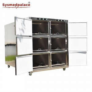 [Hot Item] Adjustable Temperature Cadaver Morgue Freezer and Fridge with 6 Doors Cadaver Refrigerator