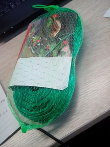 [Hot Item] Bird Netting White Anti Bird Net Anti Bird Netting Plastic