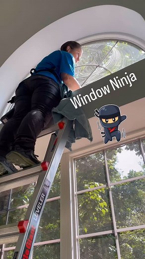 Tall windows getting handled 💪🏽 🪟 #windowcleaner #windowclean #veteranowned #windowcleaning #smallbusinessowner #bluecollar #elizabethtownkentucky #guttercleaning #shorts | Honeydew Services