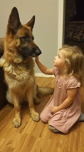 17K views · 28 reactions | Everyone said he was beyond hope. No one...