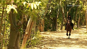 3.7K views · 79 reactions | "La Desalmada" llega muy pronto a Univision. Aquí les dejamos un adelanto... | Siempre Mujer | Facebook