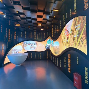 [Hot Item] P2 External Module Flexible Digital Panel Business Sign Advertising Wall Mounted LED Display